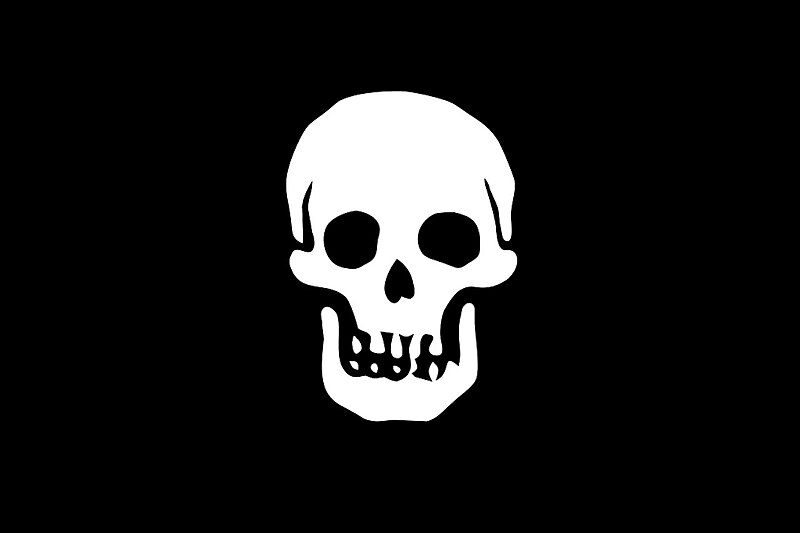 File:Pirate Death's Head Flag.jpg