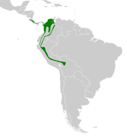 Distribución geográfica del picoplano bigotudo occidental.