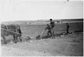Plowing with a horse drawn plow in an irrigated garden in Porcupine District - NARA - 285841.jpg