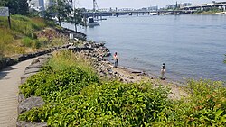 Poet's Beach, Portland, Oregon (July 2020) - 03.jpg