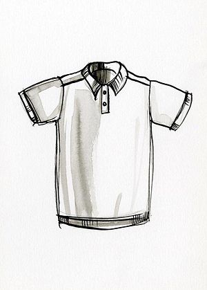 Polo shirt.jpg