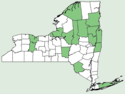 Potamogeton oakesianus NY-dist-map.png