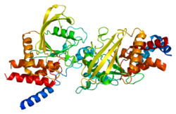 پروتئین PTPRB PDB 2ahs.png