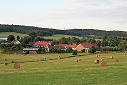 Radějovice (okres Strakonice), v pozadí vrch Radovec.jpg