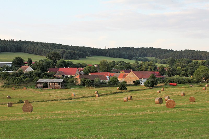 File:Radějovice (okres Strakonice), v pozadí vrch Radovec.jpg