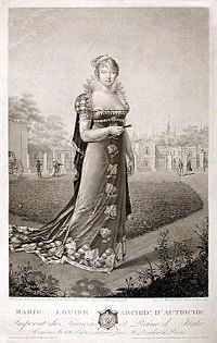 Maria Ludwika Austriaczka: Dzieciństwo i wczesna młodość, Ślub z Napoleonem, Narodziny syna i upadek I Cesarstwa