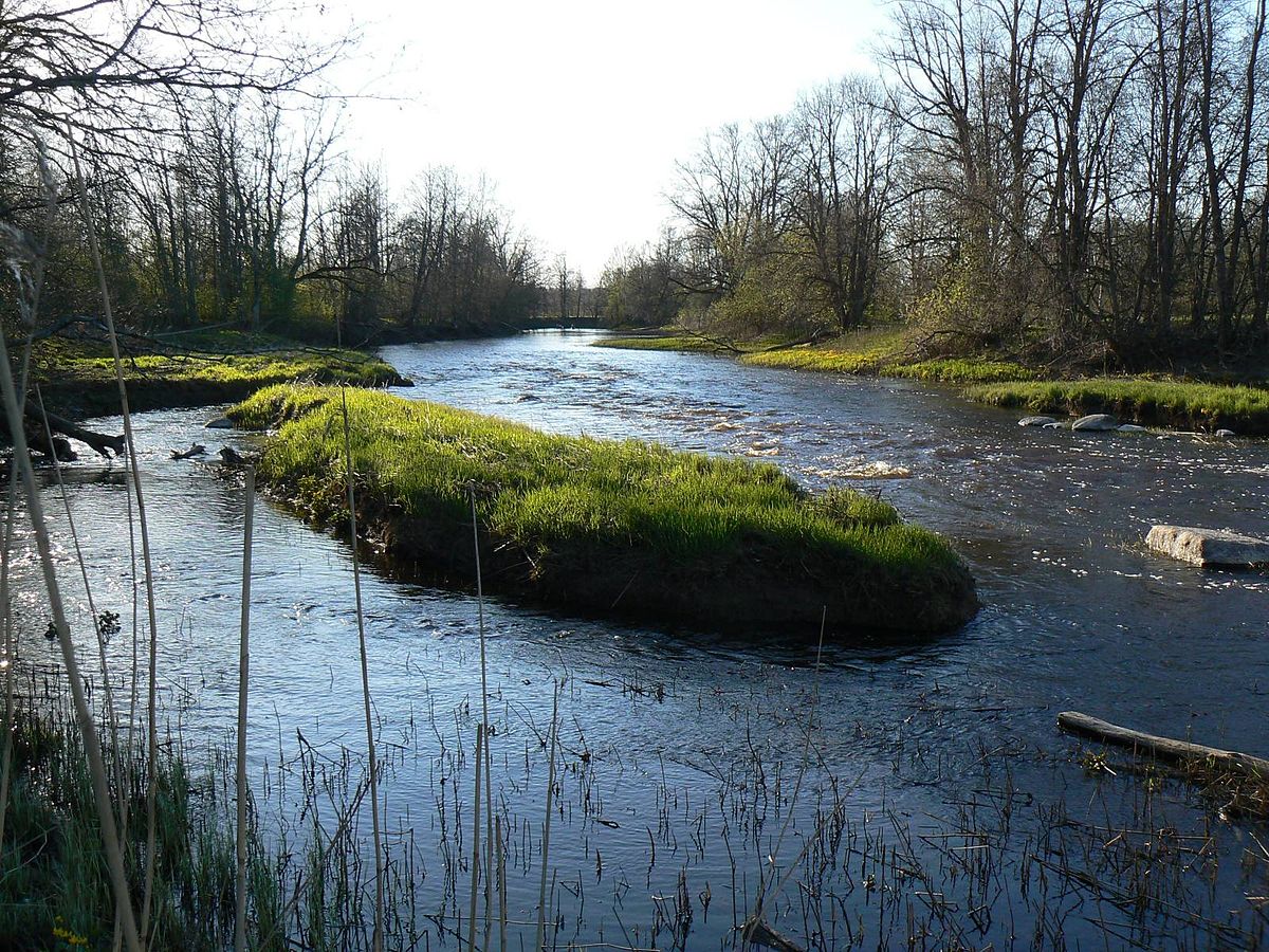 Река навести. Эстония водоемы. Река Raudna Eesti. Река Viljandi. Эстония водоемы и реки.