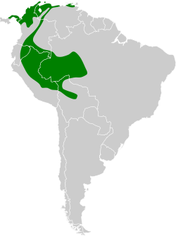 Distribución geográfica del picoplano equinoccial.