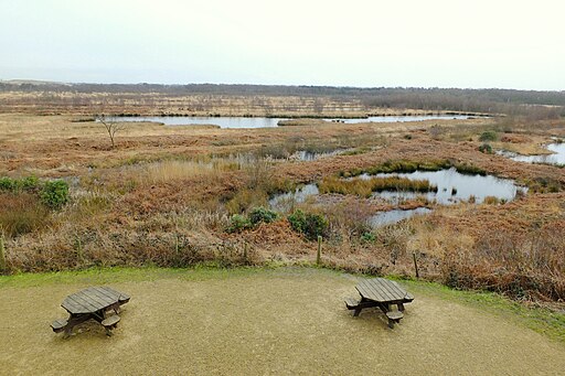 Risley Moss from The Tower - geograph.org.uk - 4367828