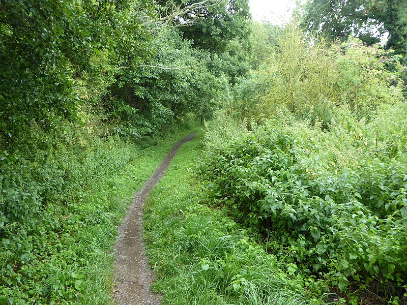 File:Riverside Walk, Hadleigh 1.jpg