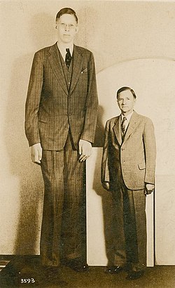 Wadlow mérete egy 1,82 méter magas emberhez hasonlítva
