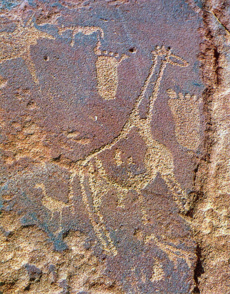 Rock carving from the Tassili n'Ajjer mountains.jpg