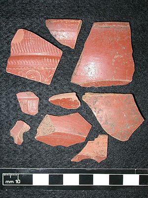 Roman samian ware sherds. (FindID 73523).jpg