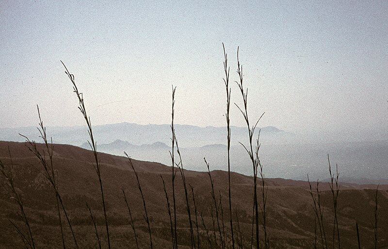 File:SSW view from Hakone Volcano in 1965.jpg