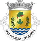 Wappen von Vale de Figueira