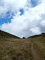 Padang Rumput Puncak