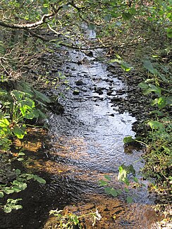 Sahrbach Burgsahrin ja Kreuzbergin välillä