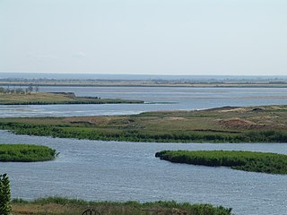 Salsky District District in Rostov Oblast, Russia