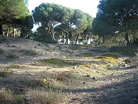 Cadiz'in Kuzey Batı Kıyısı