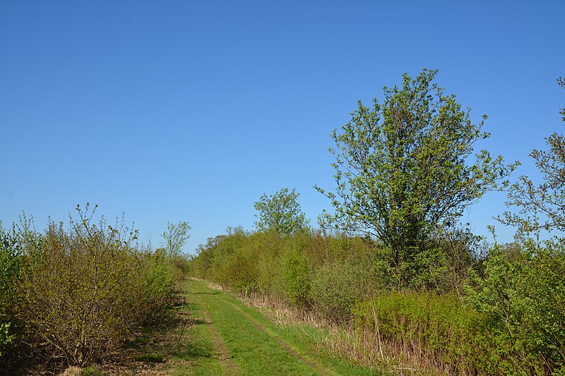 File:Schleswig-Holstein, Fockbek, Naturschutzgebiet Fockbeker Moor NIK 1707.jpg