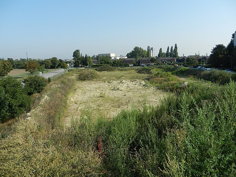 File:Schwechat Langobardisches Graeberfeld 2011.jpg