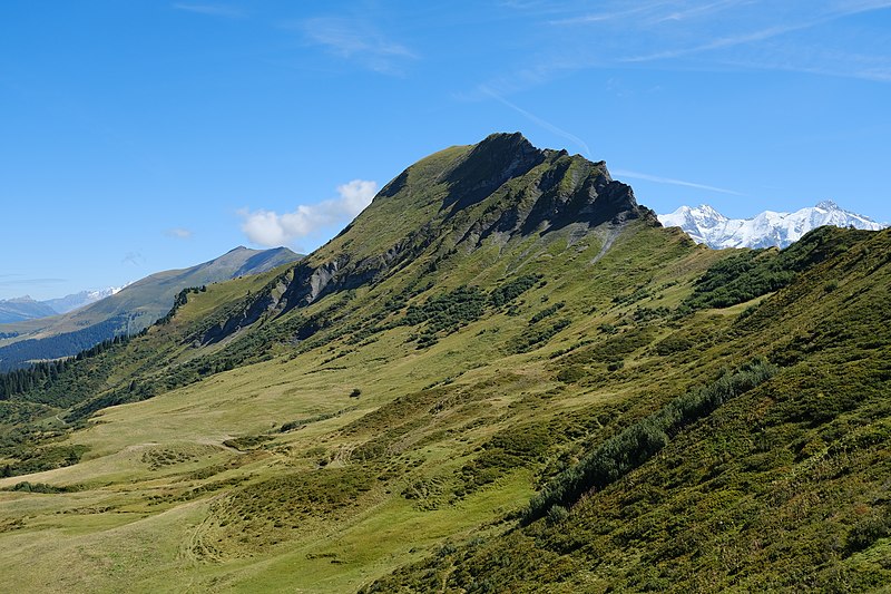 File:Sentier du Col du Joly au Col de Véry (51036227857).jpg