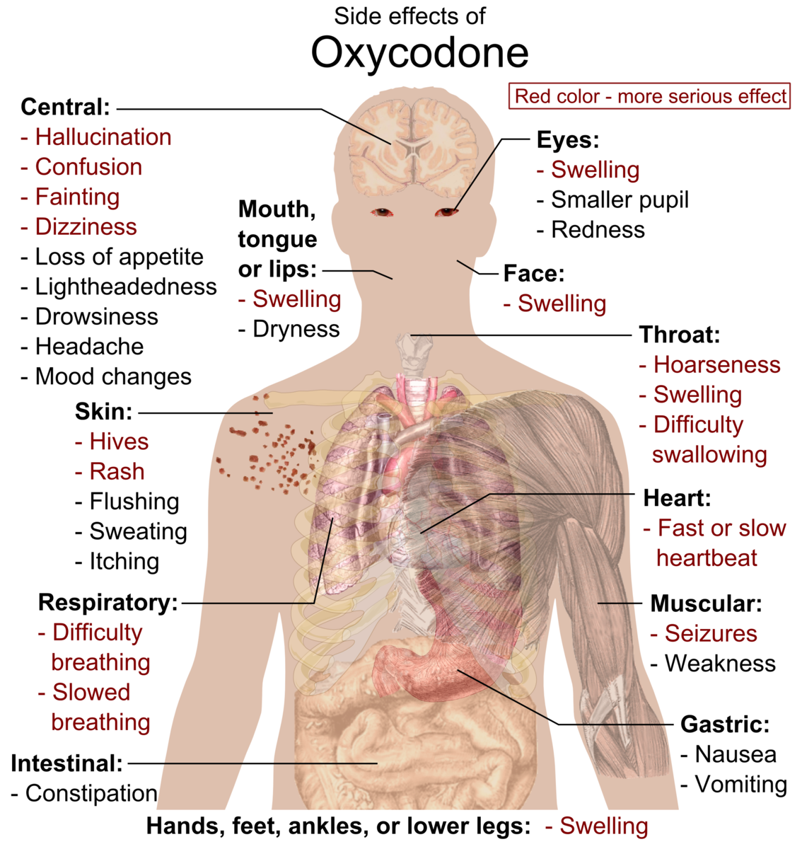 Оксикодон. Opioid Side Effects. Эффекты налоксона и оксикодона.