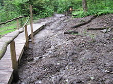 Siegquelle mit Holzbohlenweg und Wasserentnahmestelle (2014 renaturiert)