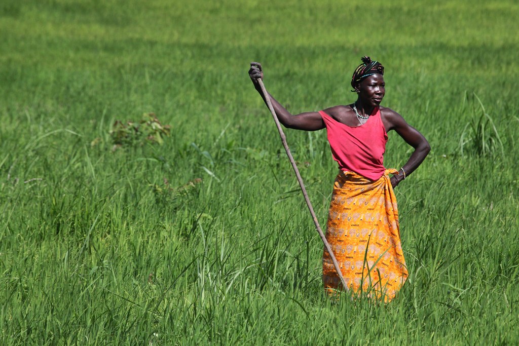 Sierra Leone 0002 (7542297444).jpg