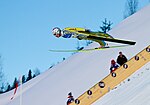 Vignette pour Vol à ski