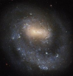 Single Arm Galaxy NGC 4618.tif