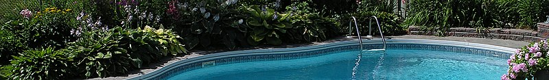 File:Staycation banner Backyard pool.jpg