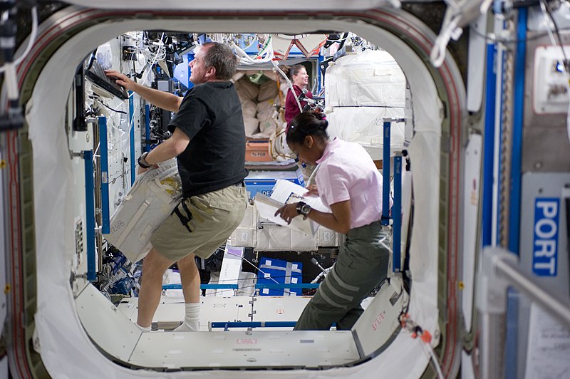 File:Stephanie Wilson STS-131 mission specialist in US lab.jpg