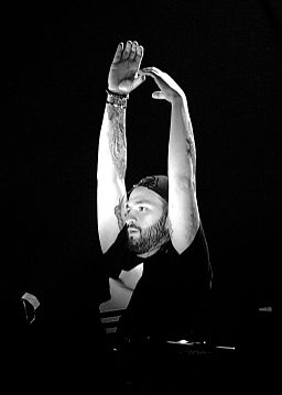 Steve Angello 2014