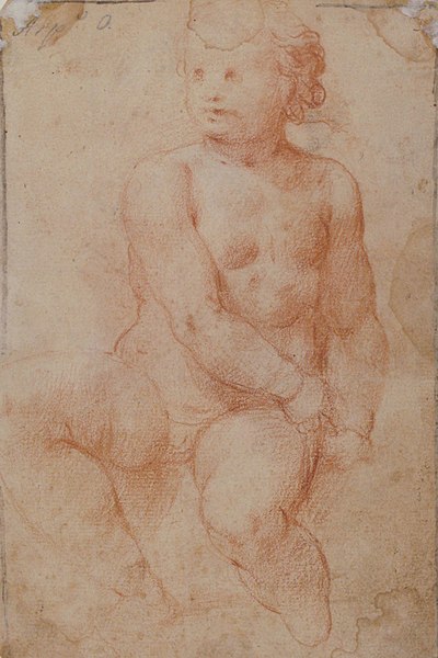 File:Study of a Seated Putto Looking at His Right (recto); A Woman's Head, Study after the Antique (verso) MET 17.236.47 RECTO.jpg