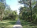 Sturdee Park path Loganlea Queensland Australia.jpg