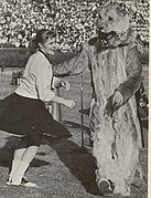 A University of Pittsburgh cheerleader in 1956