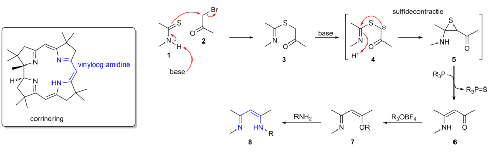 De corrinering in vitamine B12 met het vinyloge amidinesysteem in blauw aangegeven. Rechts het reactiemechanisme van de methode die Eschenmoser ontwikkelde om dit systeem te bereiden: de sulfidecontractie. De reactie start met een alkylering van een thioamide (1), geïnduceerd door een base, waardoor een thio-imino-ester (3) ontstaat. Onder invloed van een base wordt dit gedeprotoneerd, waardoor een intramoleculaire Mannich-reactie plaatsgrijpt en een aminothiiraan (5) ontstaat (de eigenlijke sulfidecontractie). Het zwavelatoom wordt verwijderd met behulp van een fosfine, waardoor een dubbele binding wordt gevormd en een vinyloog amide (6) ontstaat. Alkylering met een elektrofiel reagens, zoals trimethyloxoniumtetrafluorboraat, leidt tot vorming van een imino-enolether (7), dat met een geschikt amine omgezet wordt in het vinyloge amidine (8).