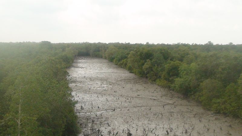 File:Sundarbans 10.jpg