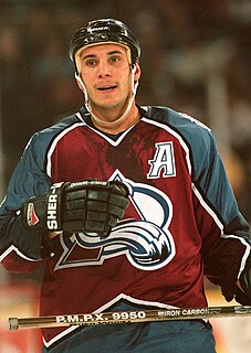 Sylvain Lefebvre Canadian former ice hockey defenceman (born 1967)