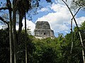 Tempel 4 in Tikal