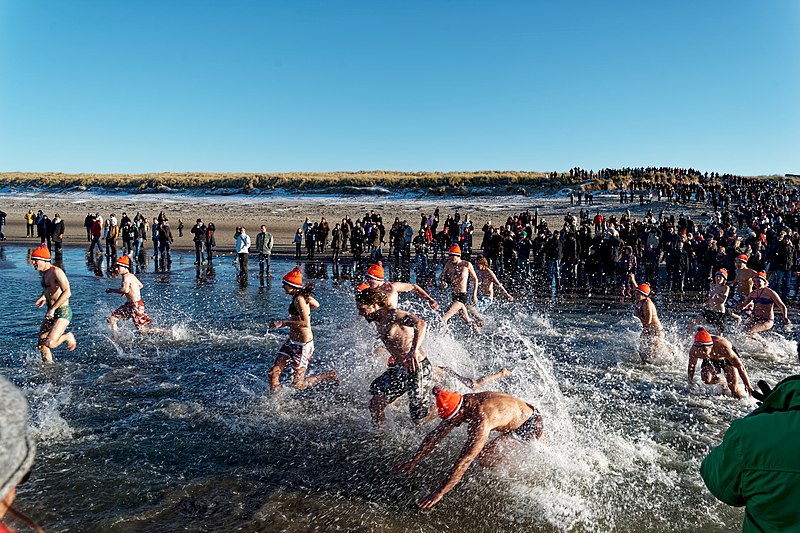 File:Texel - De Koog - New Year's Dive - Nieuwjaarsduik 2010 - View East II.jpg