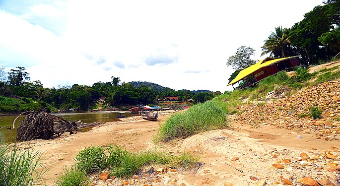 The extensive deforestation of the Amazon rainforest - the lung of the Earth - has now caused a critical shortage of river water so that large areas of the once wide river are no longer navigable