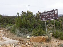 L'accès au Gamkaskloof au sommet du Swartberg Pass.