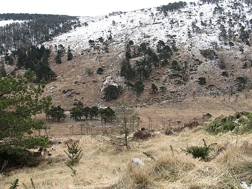 The Mourne Way-Ulster Way from Sandbank Road - geograph.org.uk - 3378798