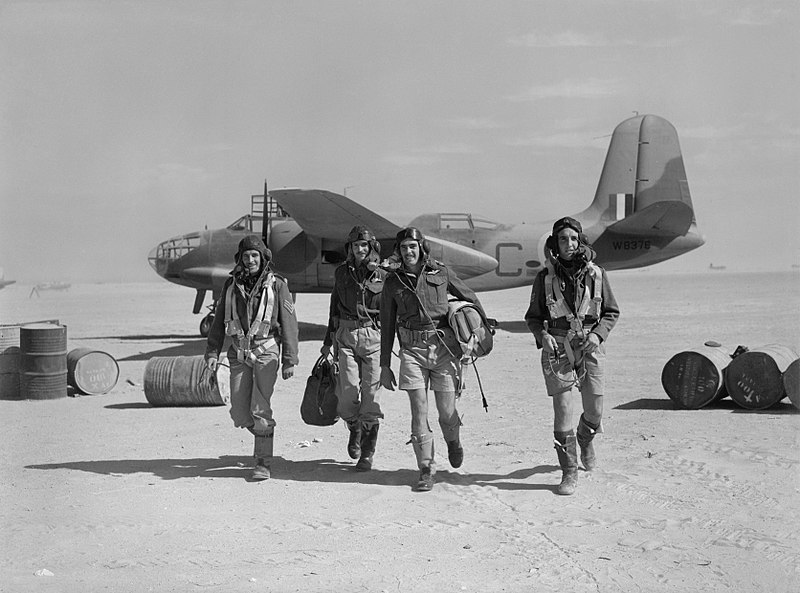 File:The South African Air Force during the Second World War CM2079.jpg