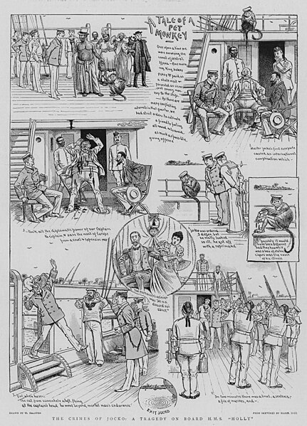 File:The crimes of Jocko, a tragedy on board HMS 'Holly' - The Graphic 1899.jpg