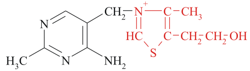 File:Thiamine.svg