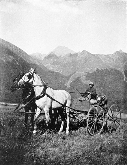 Two horses (one white, the other dark ) hitched to a wagon with the driver holding the rains in one hand and a whip in the other. The wagon is on a grassy plain, with a glimpse of a river in the distance, and a backdrop of bush covered hills rising from behind the river that change to bare mountains above the bushline.