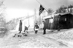 Trønderbataljonen at Skafferhullet 1940.jpg